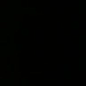 Meet your Posher, Rudy